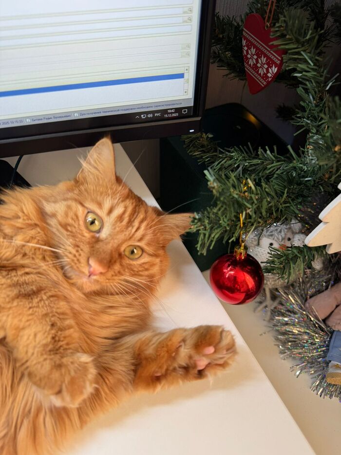 Раз все постят то и я