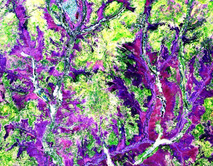 ����� ����������� �� ����������������� ���������