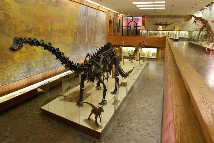 Слепок скелета диплодока