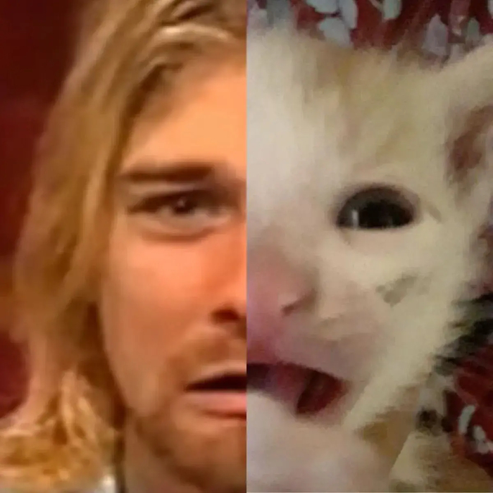 Как из музыканта-наркомана-суицидника ты стал.. этим?