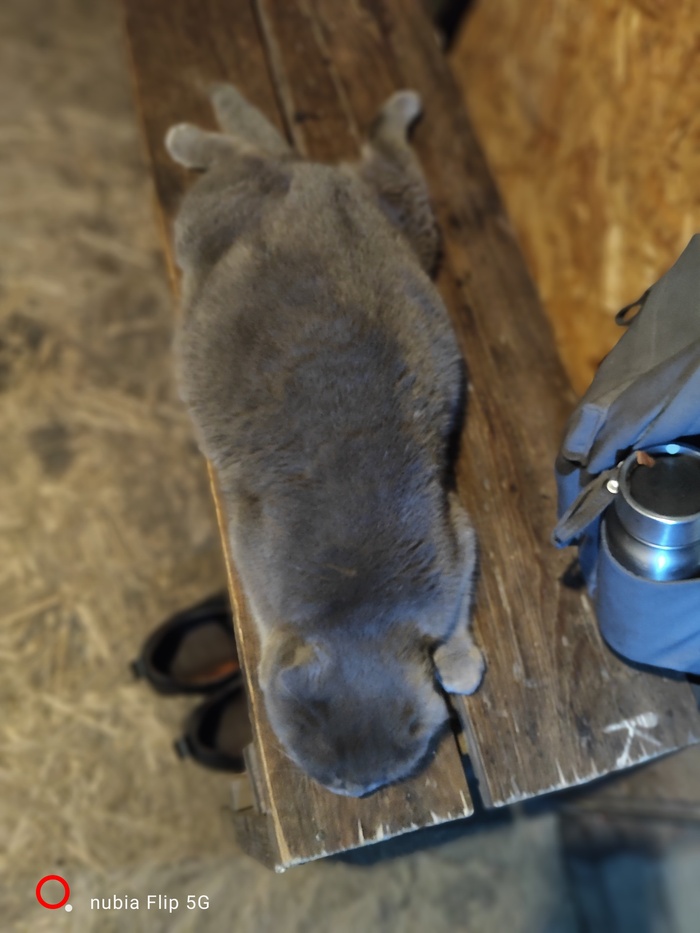 Раскорячка)