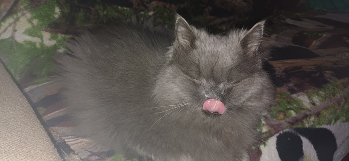 Ответ на пост «Оцените от 0 до 10»