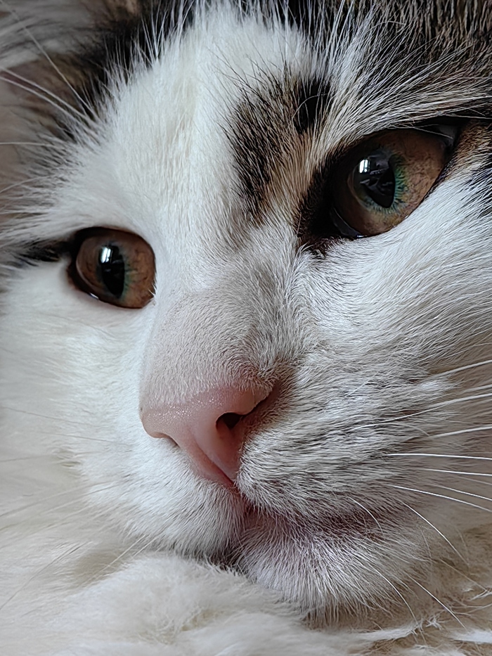 Ответ на пост «Оцените от 0 до 10»