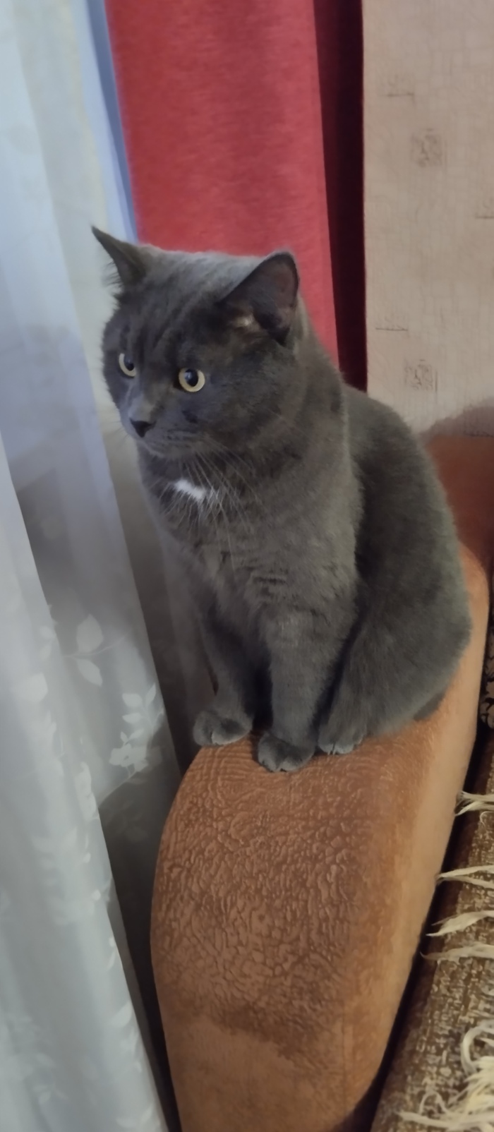 Ответ на пост «Оцените от 0 до 10»