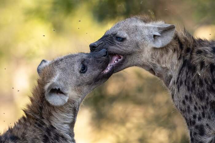 �������