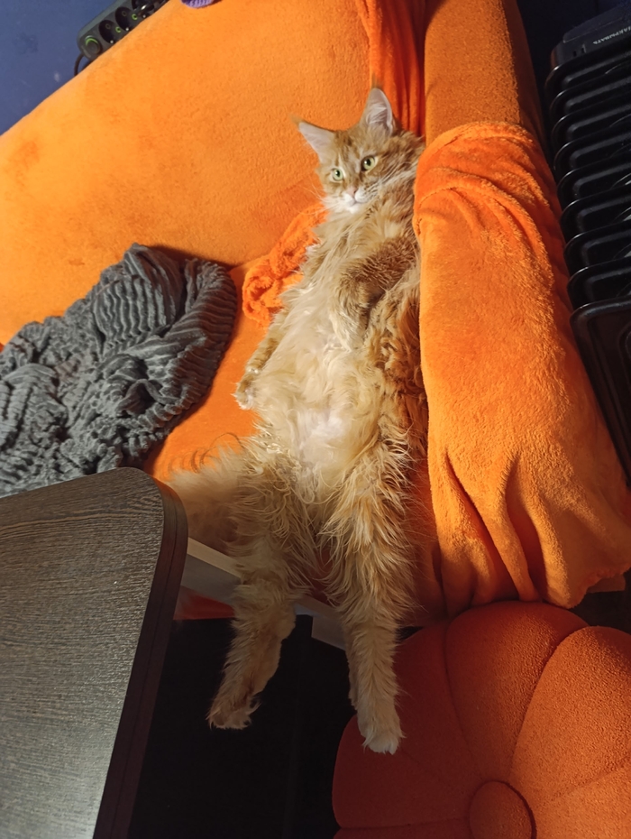 ����� �� ���� ���� ������ ���������� ����