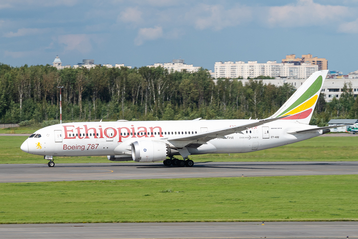 ������ �����.