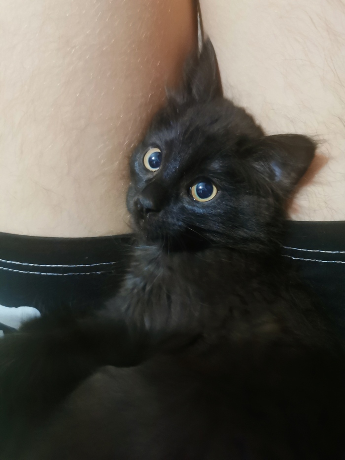 Каков красавец, не правда ли?