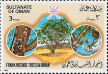 ��� ����� ����� ����� ������� ������� �� ��� ������� �������� �����. �������� � ���������� �� ��� ��� ����������� � ���������.