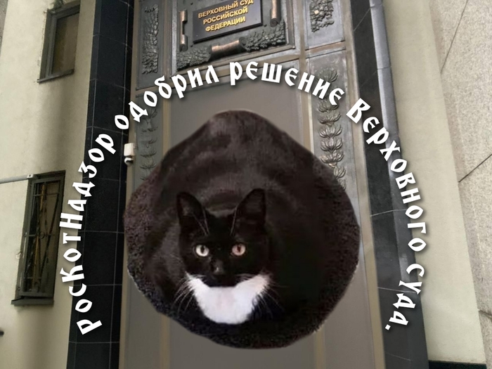 К зданию верховного суда, пришёл сам кот Малокакыч. Постановлением 234/569#65 он утвердил решение верховного суда, квартиру вернут покупателю - справедливость восторжествовала.