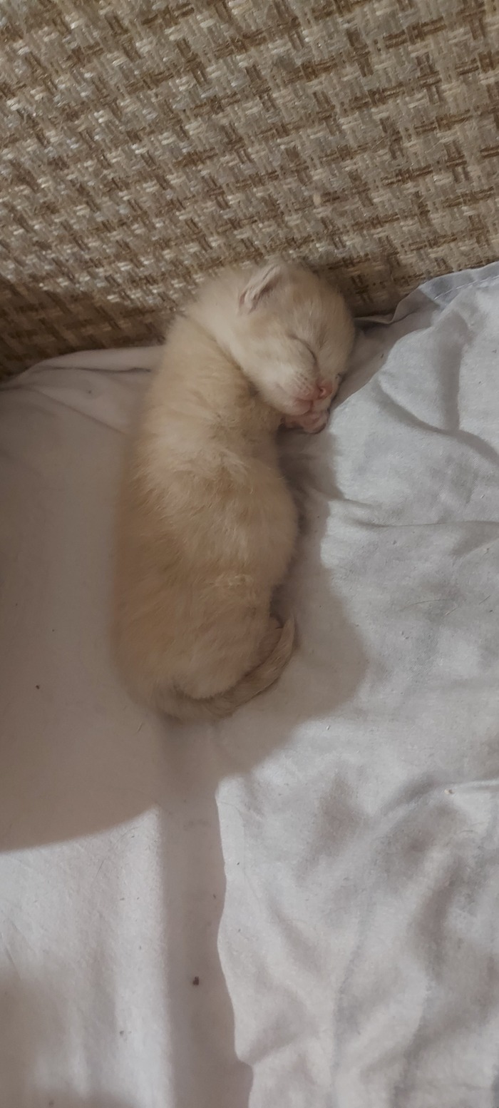 ������������ � �����