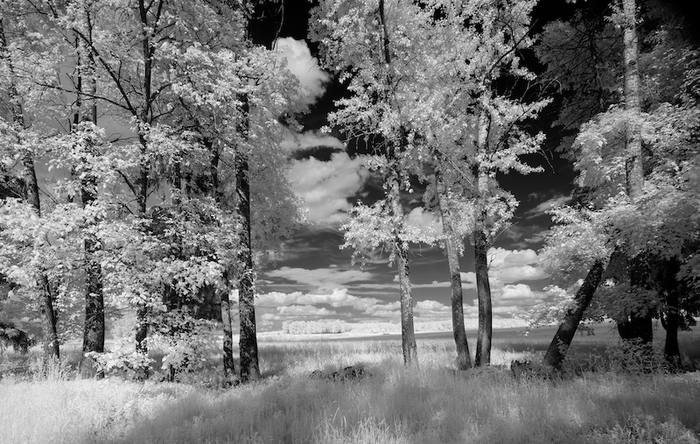 ����� ����������� �����, ������������ ���� ������ ��������