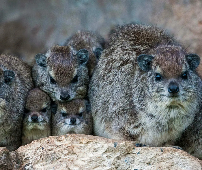 ���� �� ���������, � ���� ���������� �� �����������