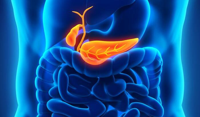 �������� ���� ���������� �������, �� ��������� ����� ����