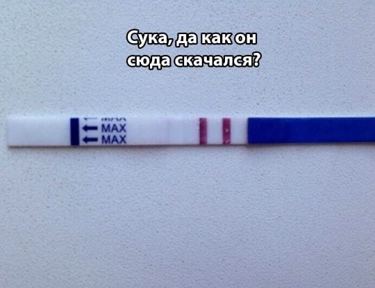 �� �����������