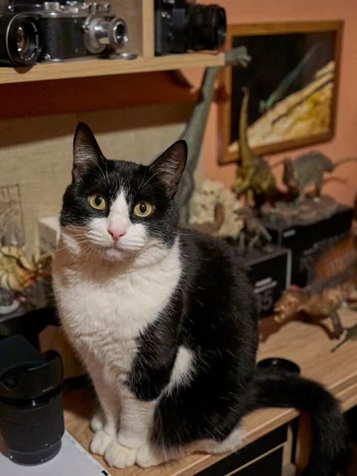 �� ������ ����, ����� �����