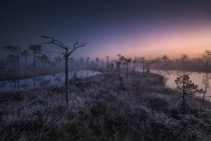 ��������� ������. �����-���������