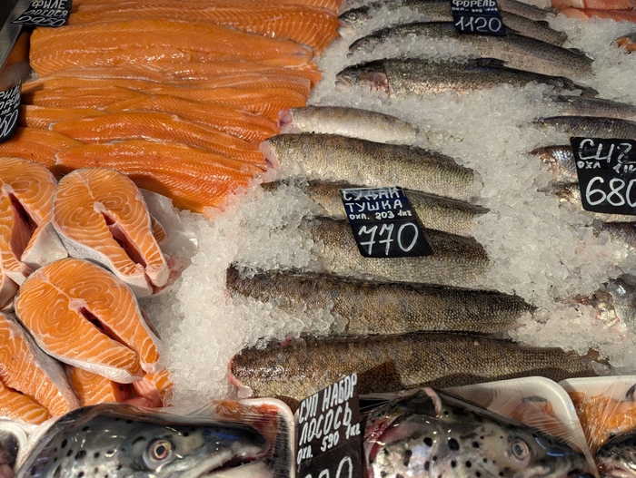 ���� ����� ������ �� 777 ������