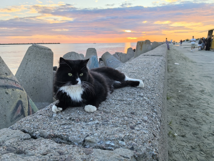 ������� ���