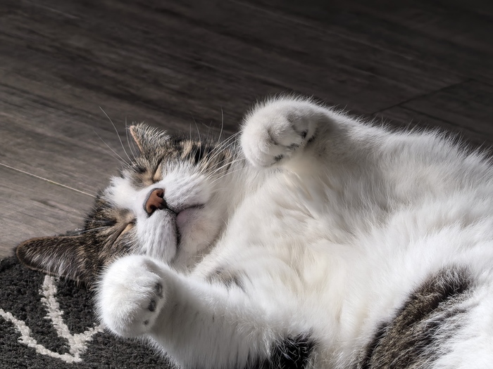 ����� ������ ����