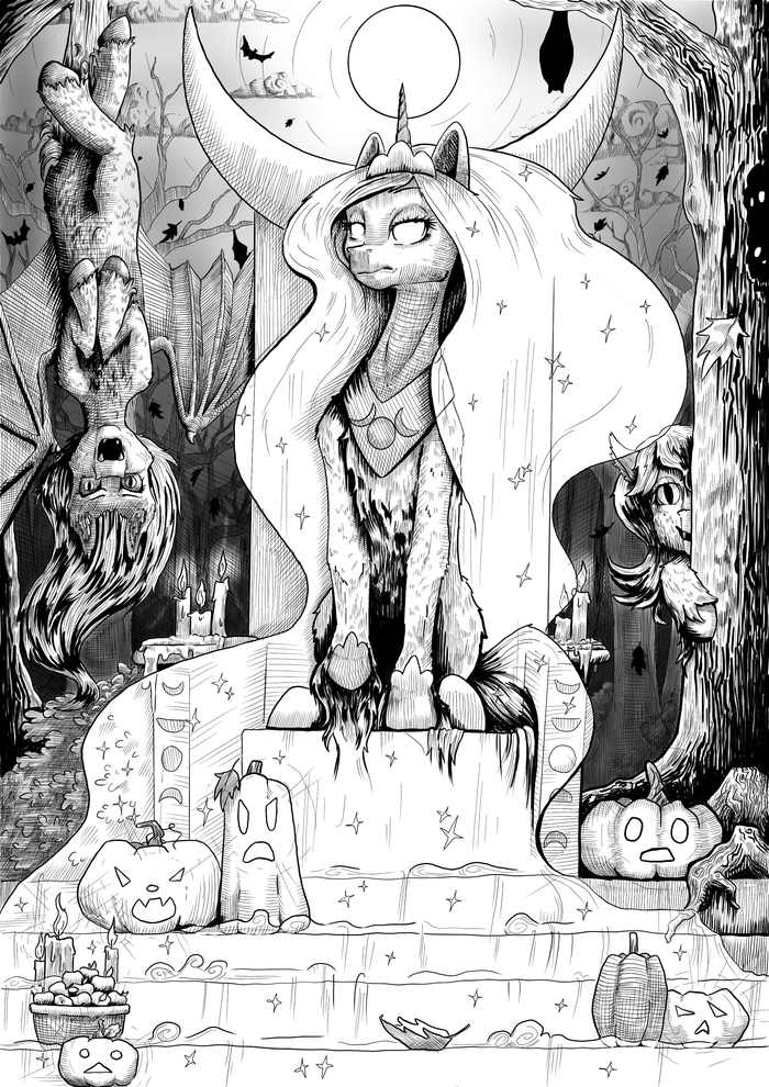 ����� ardilya