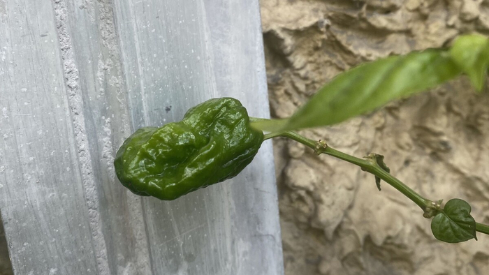 ���� ��������? � ������� �����.