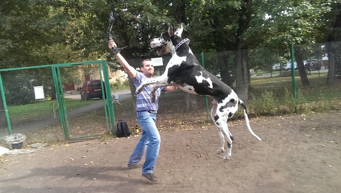 Моя лучшая фотография собаки