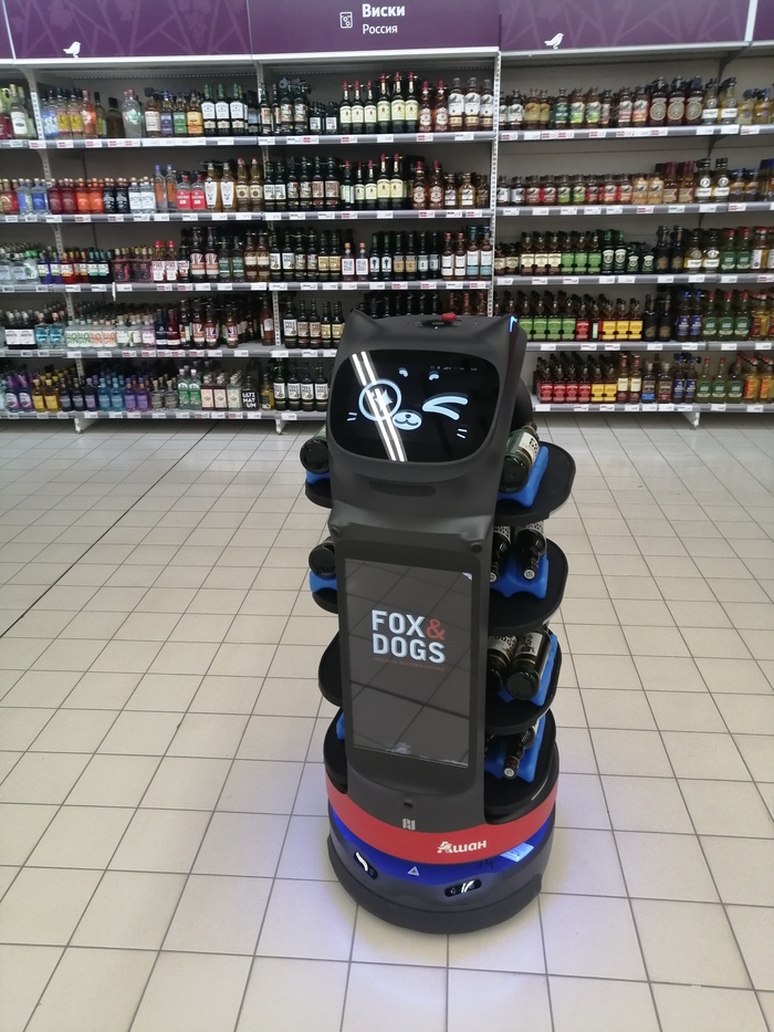 Этот милый котобот только что пообещал захватить мир