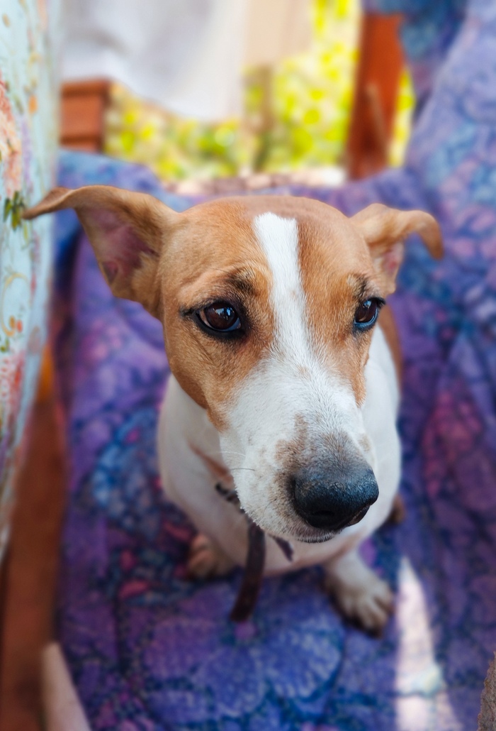 Просто фотографии