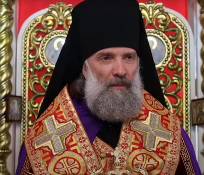 "Это не собачки, а дикие звери, представляющие смертельную опасность!"