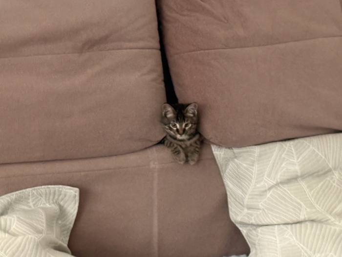 Объясните свою маленьковасть