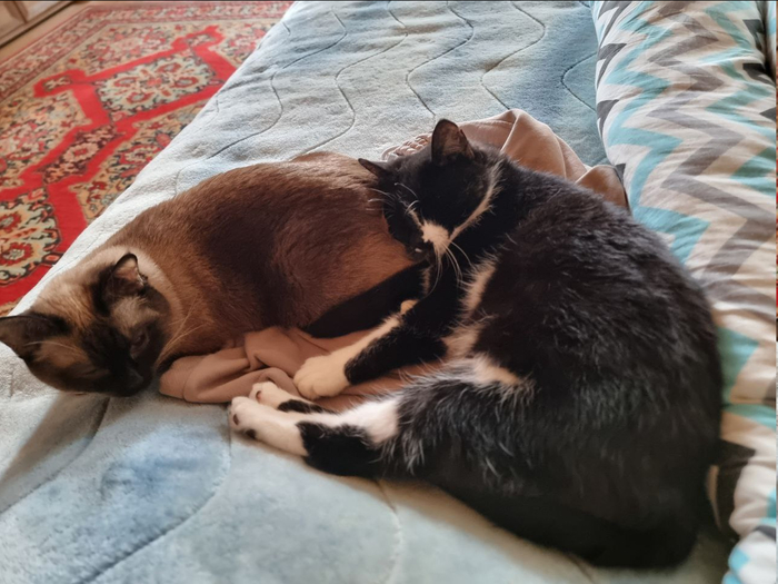 ����� ����� � ��������. ��� ����� ����������� �� �����