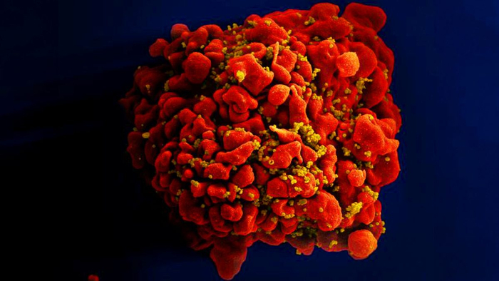 ������������ ��������� ���������� ������� ���������� ���