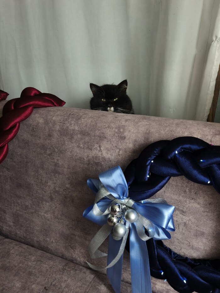 ���� �� ������: ������ ����������� ����� �� 268 ���