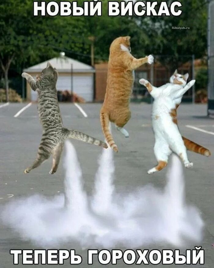 ����� ������ ������ ��������� 