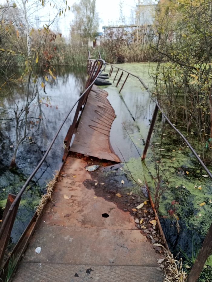 ����� IgelWeisser � ������ ���������� �����?�