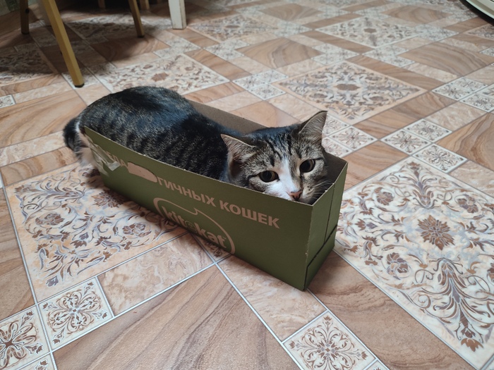 ����� �� ���� ���� ������ ���������� ����