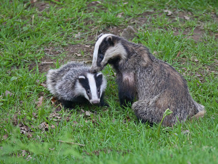 ������ ������������ ������ ������� �������� ����� 200 ��������� ���������� ����������, ���������� ������� ������ ���������� ������� �����.