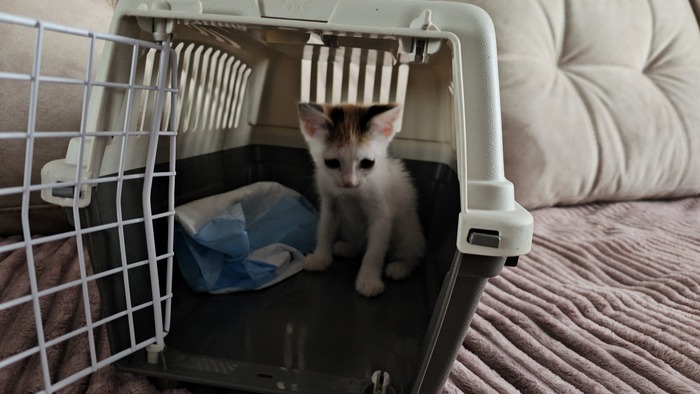 ��� �� �������� � ����� ��� , ��� ���� �� �������!