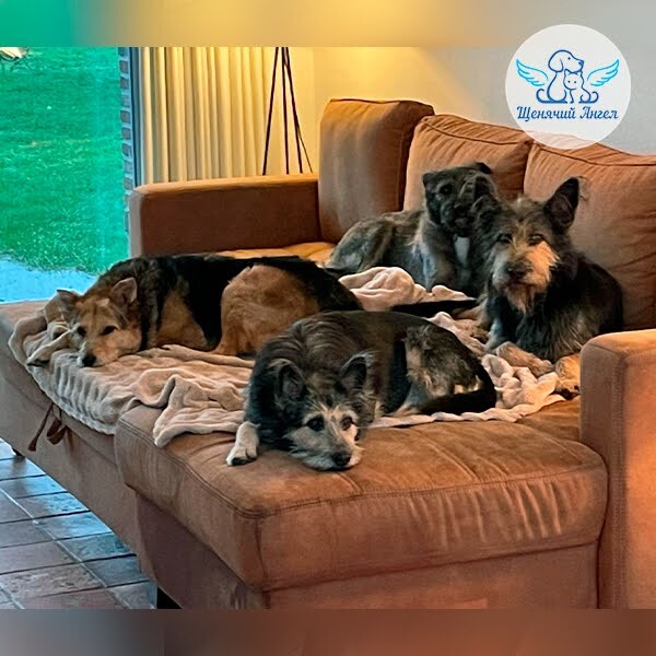 �������� ���� ������� ������, ��� ������ �� �������� �� ����������� � ���������� ������������� ������� �����