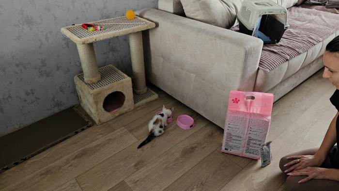 ������� �������� � �������� � ��������!