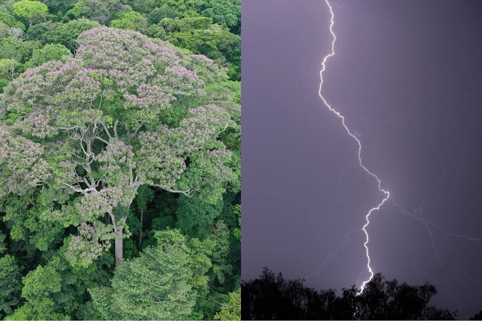 ���� ������ � ����������� ����.