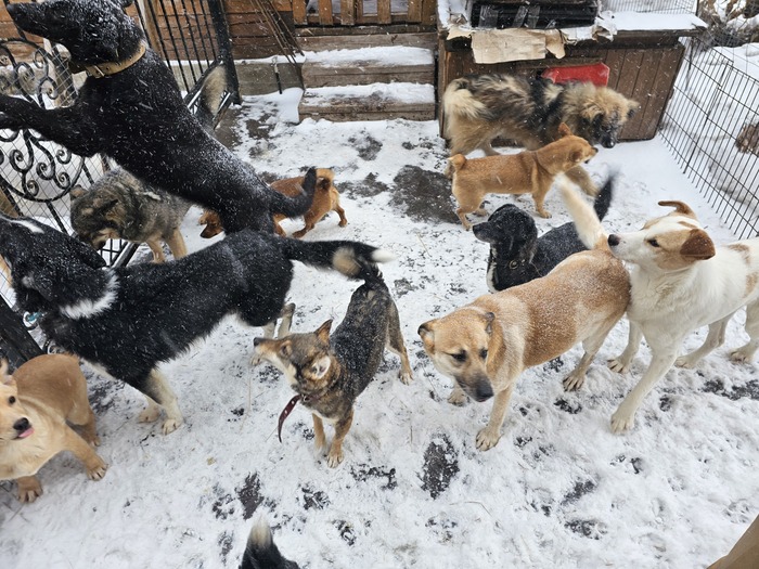 ������ � ��� ����! ������ �� �����.