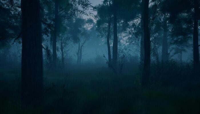 Краткий пересказ дебютного романа Светланы Тюльбашевой «Лес»