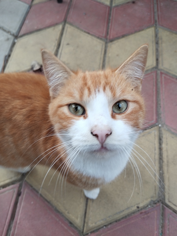 ����� �� ���� ���� ������ ���������� ����