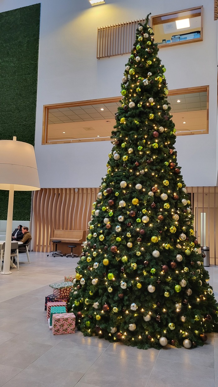 Гигантская елка с подарками.