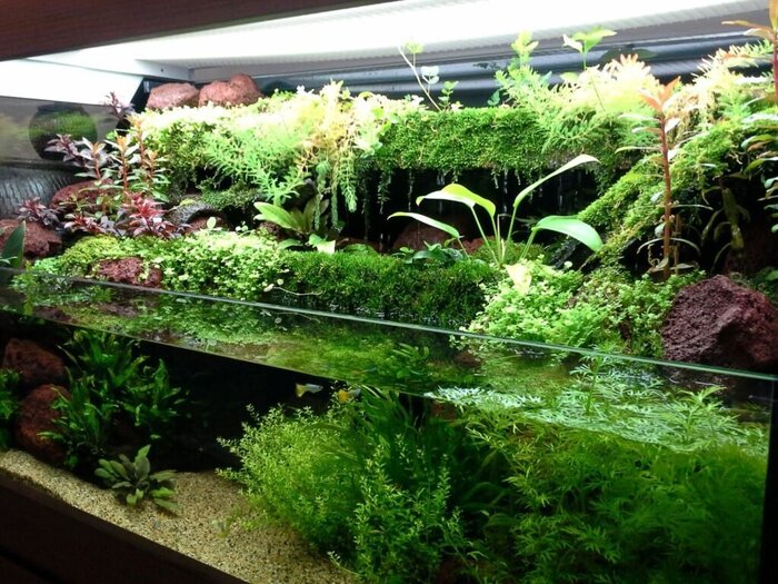 ���������� ������ ������: ��� � ���� ������� ���������� ���, � ������� �� ������ �������� � �� ������ ������