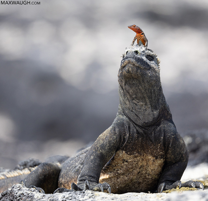 ��������� � ������������� �����