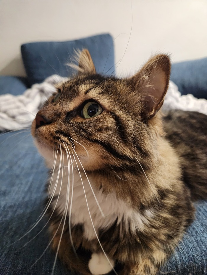 ���������� ������� #145