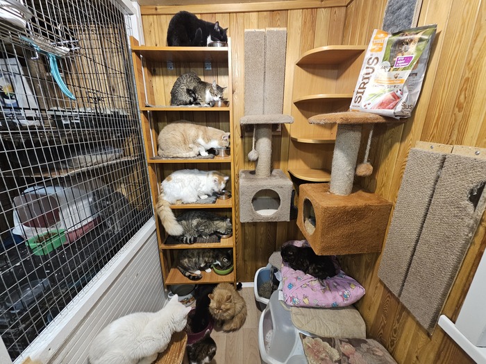 ��������� ��������� ��������. ���� ����� ���.